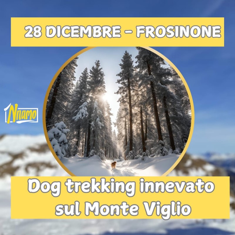 Dog trekking innevato sul Monte Viglio! 
